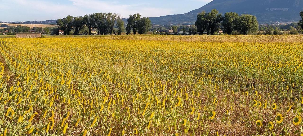 Agriturismo I Melograni Ferentillo Exterior foto