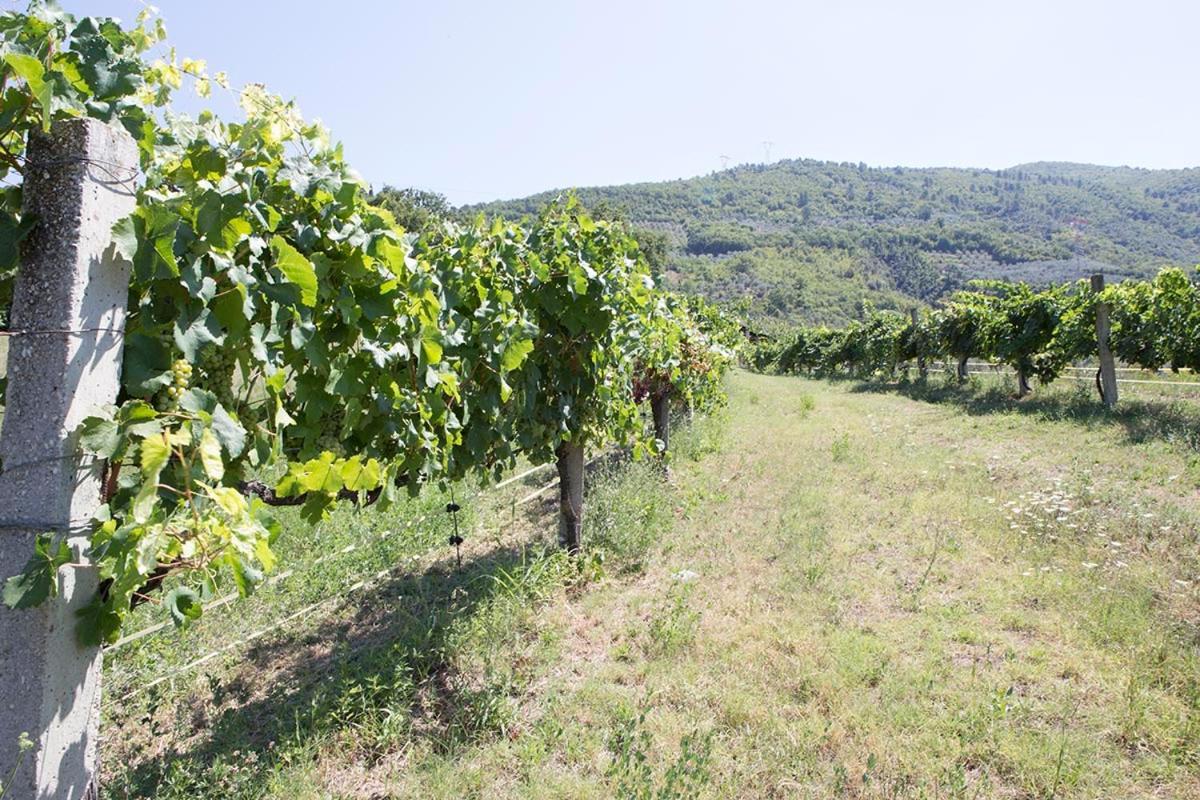 Agriturismo I Melograni Ferentillo Exterior foto