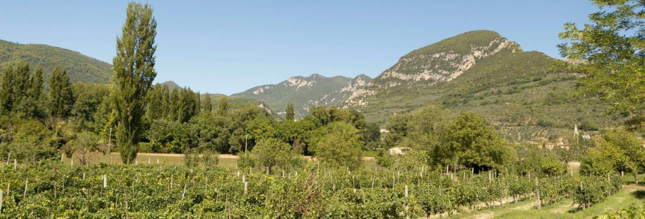 Agriturismo I Melograni Ferentillo Exterior foto