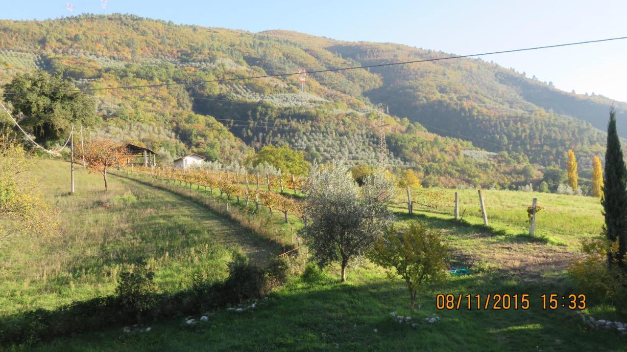 Agriturismo I Melograni Ferentillo Exterior foto