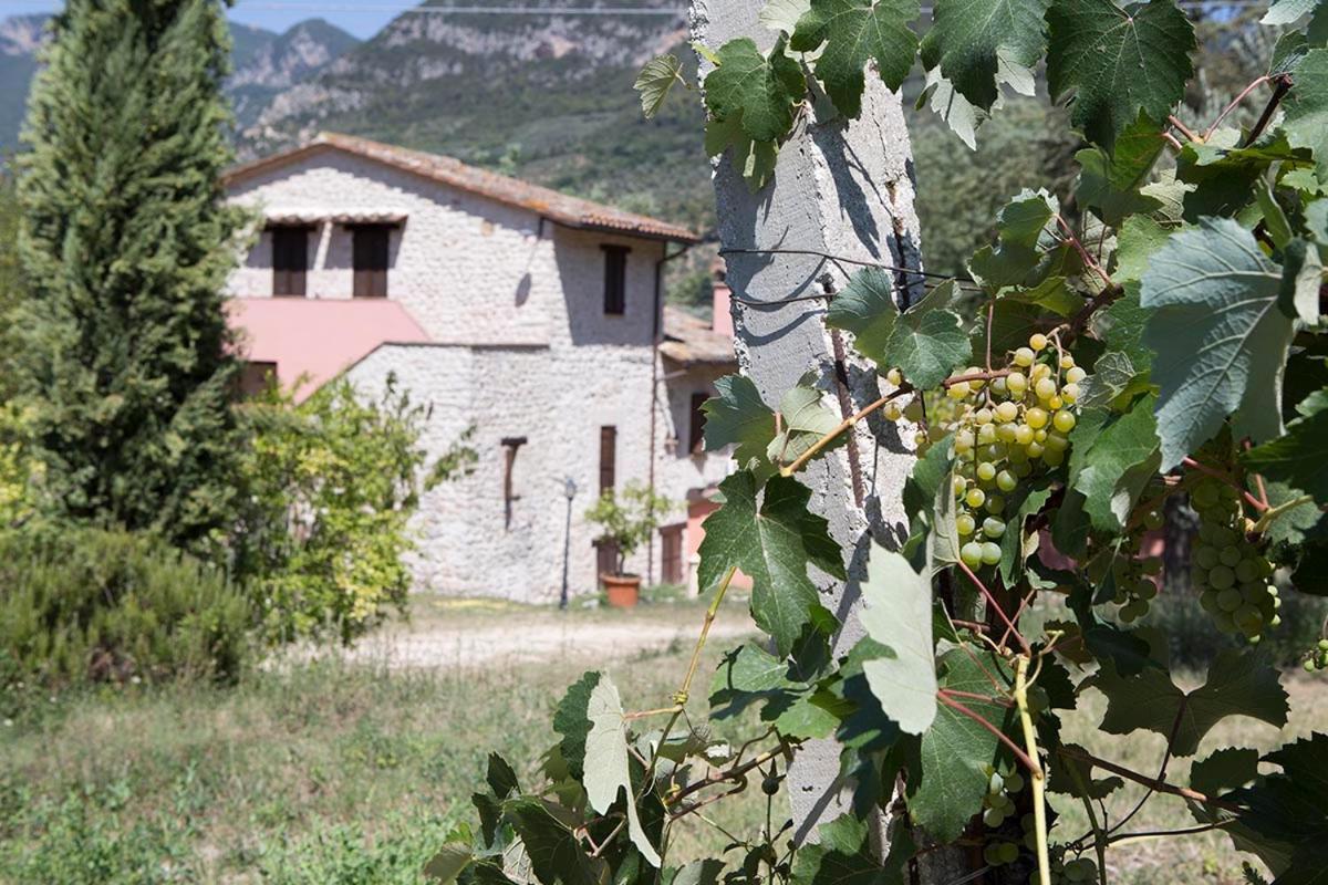 Agriturismo I Melograni Ferentillo Exterior foto